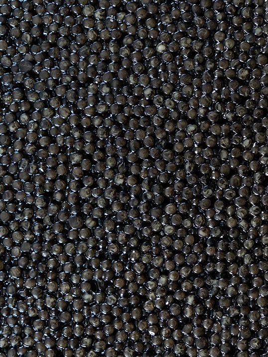 Cru Caviar caviale varietà Asetra: uova di colore a matrice marrone, di dimensioni medio-grandi