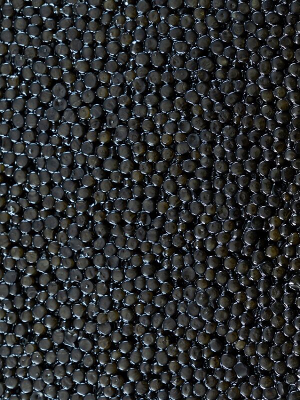 Cru Caviar caviale varietà Imperial: uova di dimensioni medio-grandi.