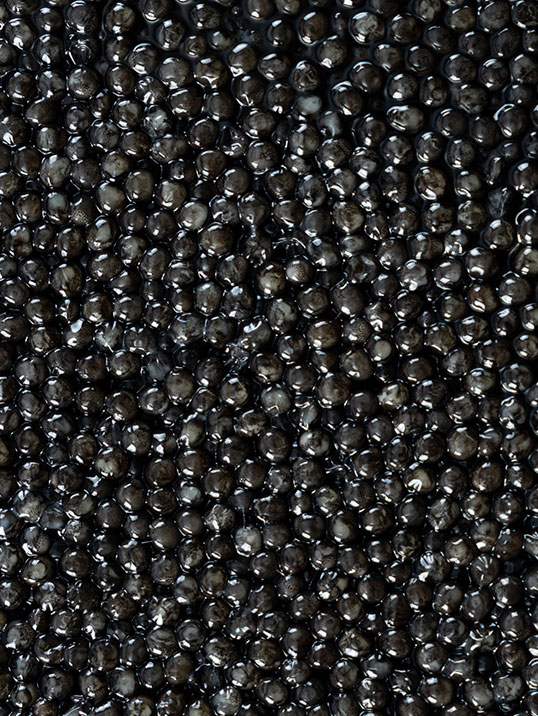 Cru Caviar caviale varietà Royal: