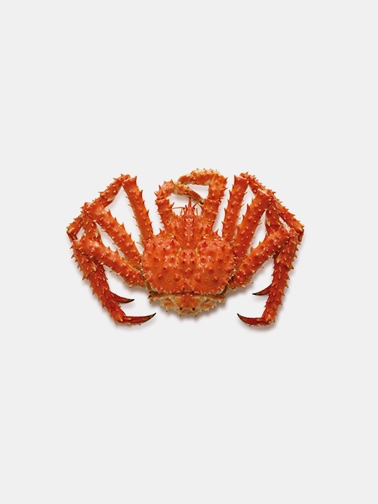 king crab